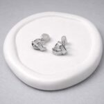 photo_2026-03-06-10.09.26-1