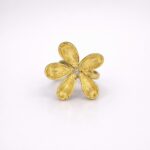 photo_2026-03-12-13.27.18