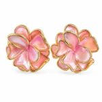 photo_2026-05-26-14.21.57