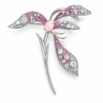 photo_2026-08-03-12.26.55